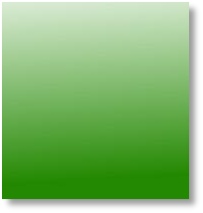 tree service | CO